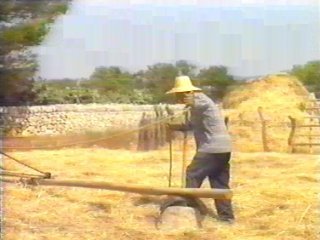 CAMPO - (95)